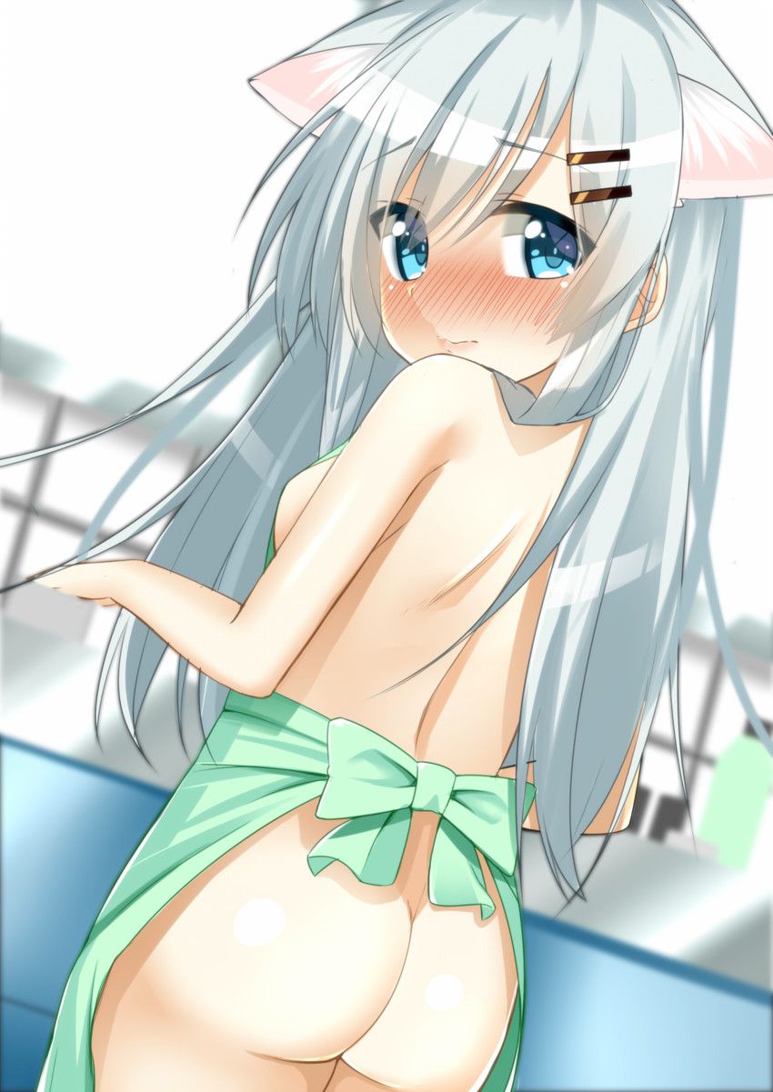 Naked Ephrolla erotic image that will become without enough even if you do not cook the cohabitation of Loli girl naked apron figure! 30