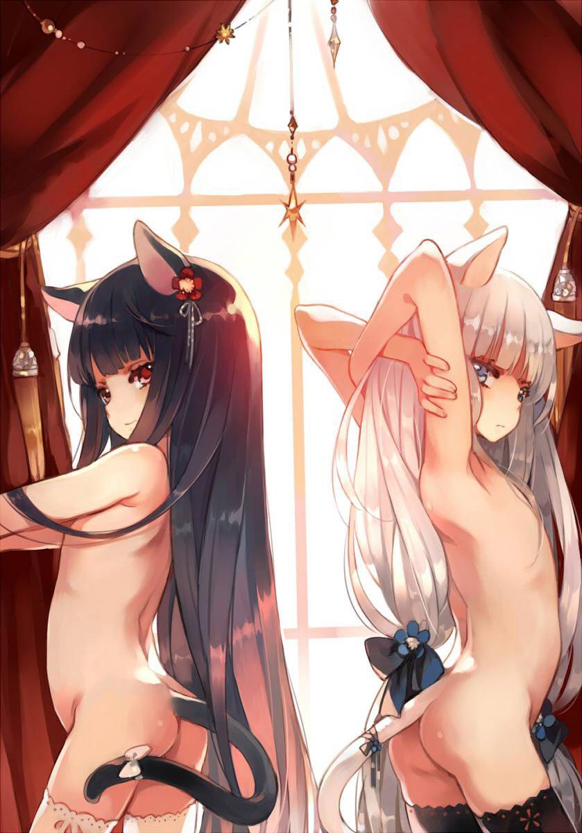 Two-dimensional Keomo to pat the ear, I want to obedience cute girl small erotic image summary 47 sheets 9