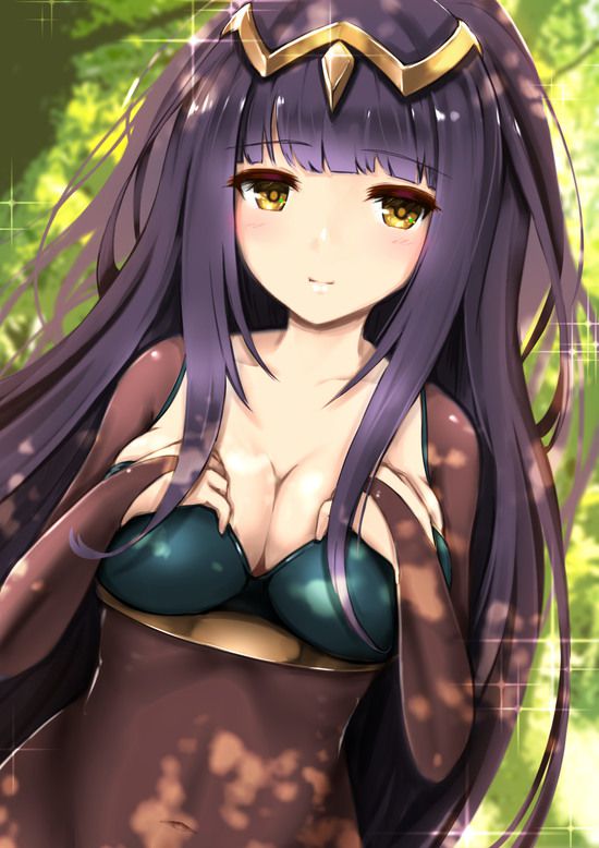 Moe Erotic images of Sarya (Fire Emblem Awakening) 171 photos 5