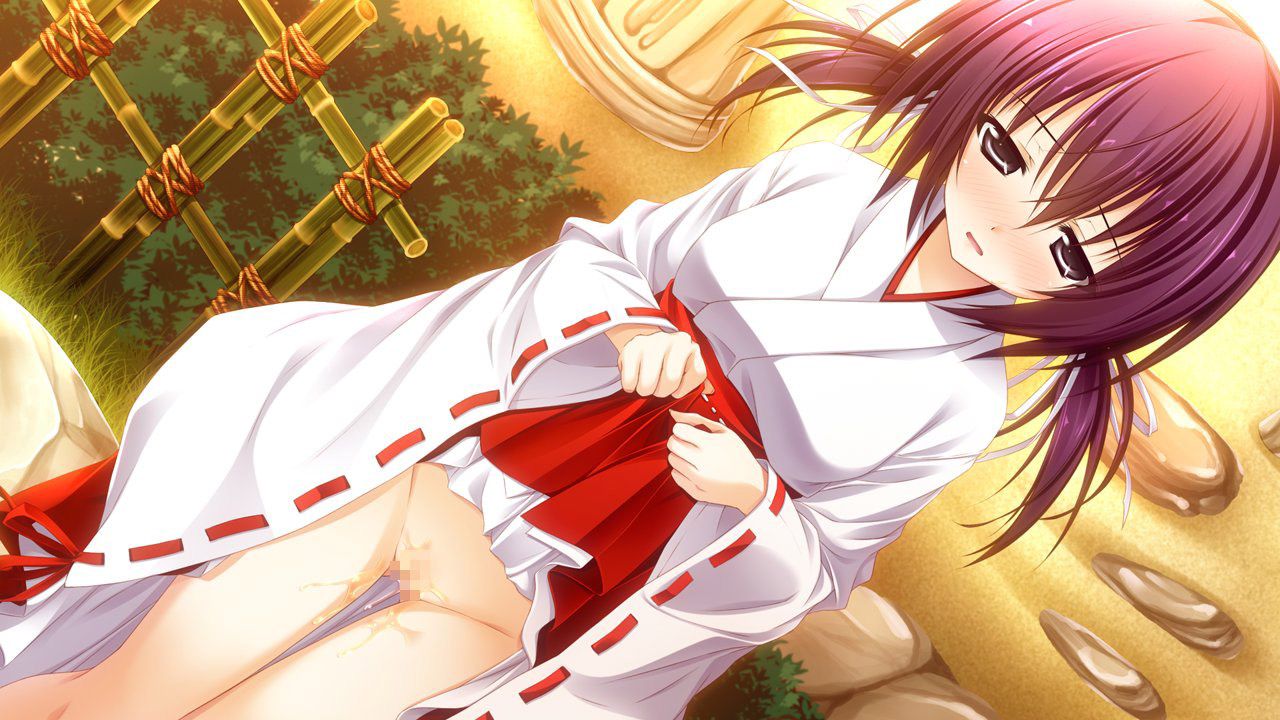 It surpasses the Miko-san with two-dimensional divine power in this power erotic image collection 61 sheets 7