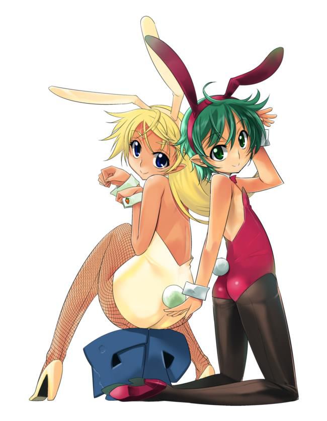 High level of bunny girl erotic Pictures 3