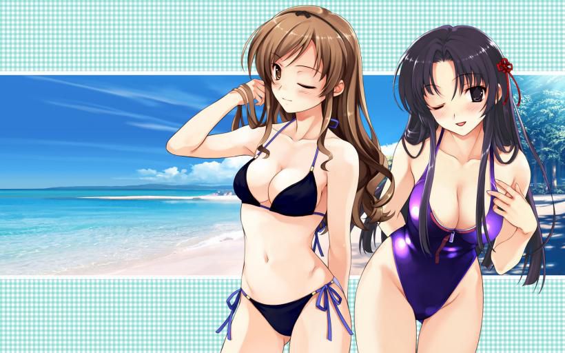 A two-dimensional swimsuit image assortment with dazzling fresh limbs. Vol.27 5