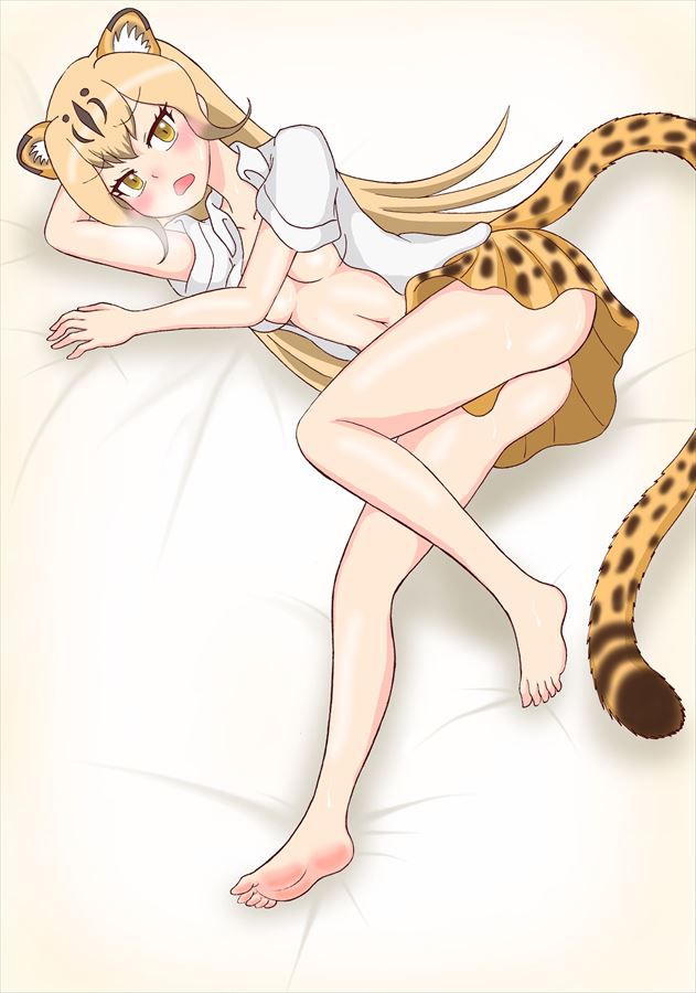 I collected the oneta image of Kemono friends!! 2