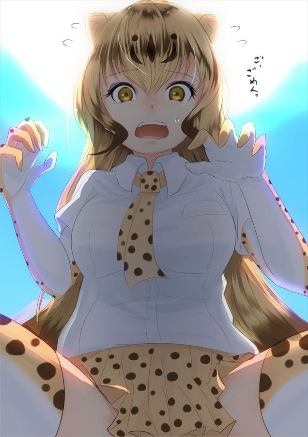 I collected the oneta image of Kemono friends!! 8