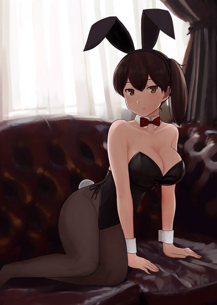 [Bunny] Bud in the secondary image of the rabbit 18