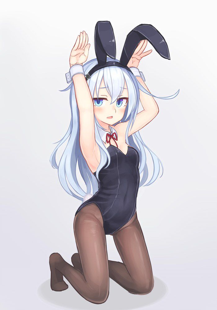 [Bunny] Bud in the secondary image of the rabbit 28