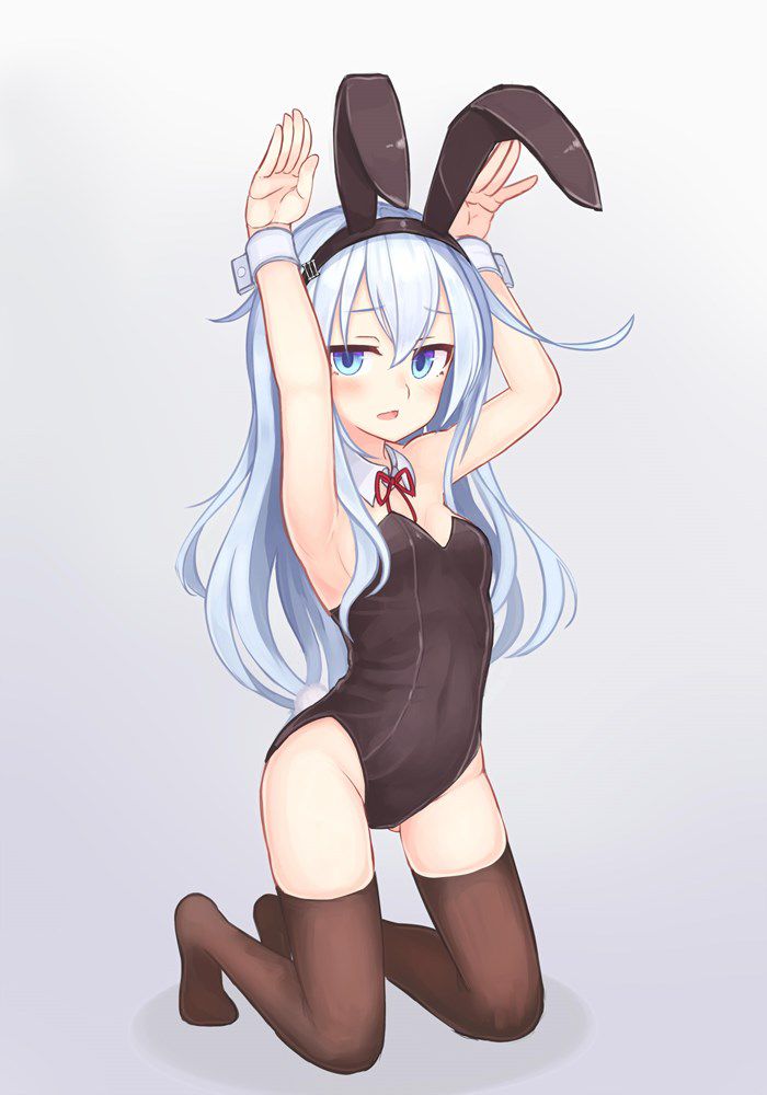 [Bunny] Bud in the secondary image of the rabbit 29