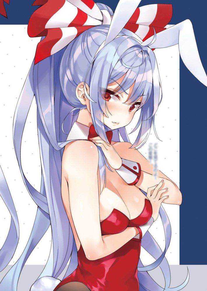 [Bunny] Bud in the secondary image of the rabbit 6