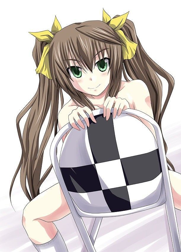 Admire the secondary erotic images of infinite Stratos. 11