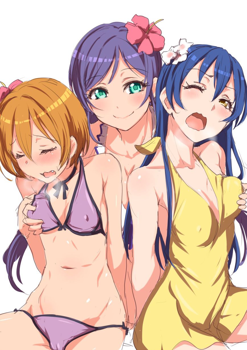 Love live that is raped JK idol is peeled off (μ 's) Erotic image total Thread part02 [Maki, ERI, sea not, etc.] 12