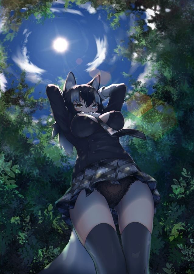 [Kemono Friends] in the secondary erotic image of Tairequoo kami! 15