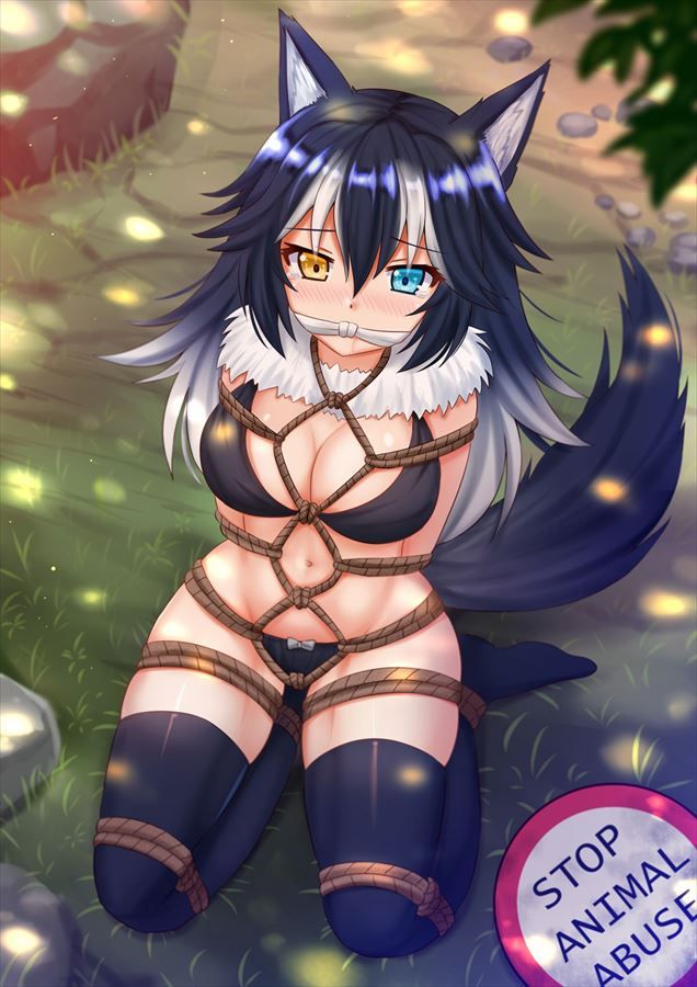 [Kemono Friends] in the secondary erotic image of Tairequoo kami! 6