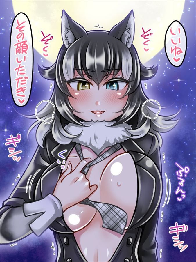[Kemono Friends] in the secondary erotic image of Tairequoo kami! 8