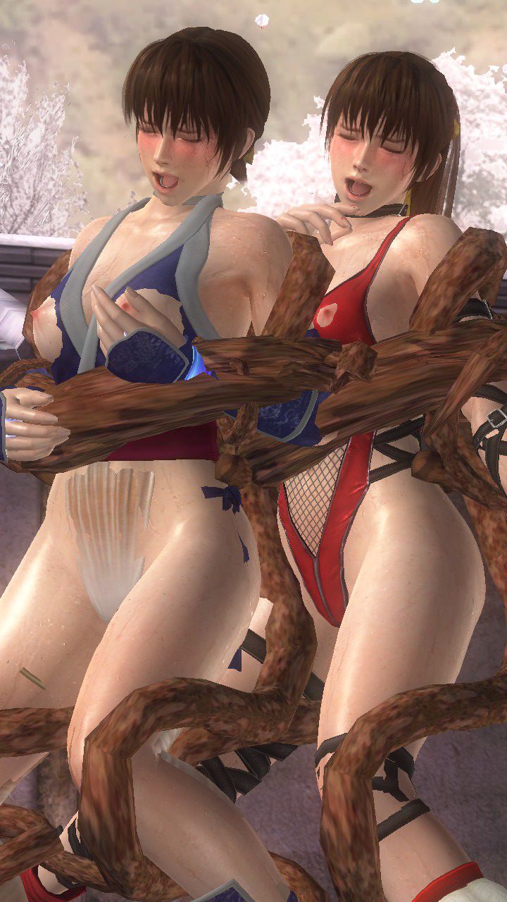 [PIXIV] doa5doa5 (788517) 1022