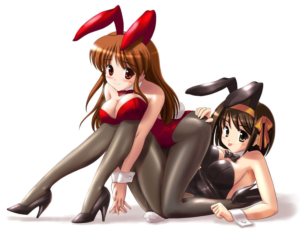 I want to put in the House to serve with something of a cute and erotic bunny girl in the Highleg Rabbit ear Erotic Image Collection part11 29