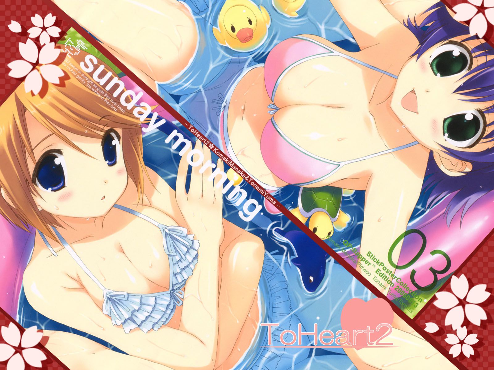 A two-dimensional swimsuit image assortment with dazzling fresh limbs. Vol.16 11