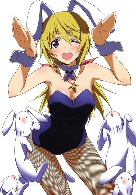 Be a secondary image of a bunny girl! 1