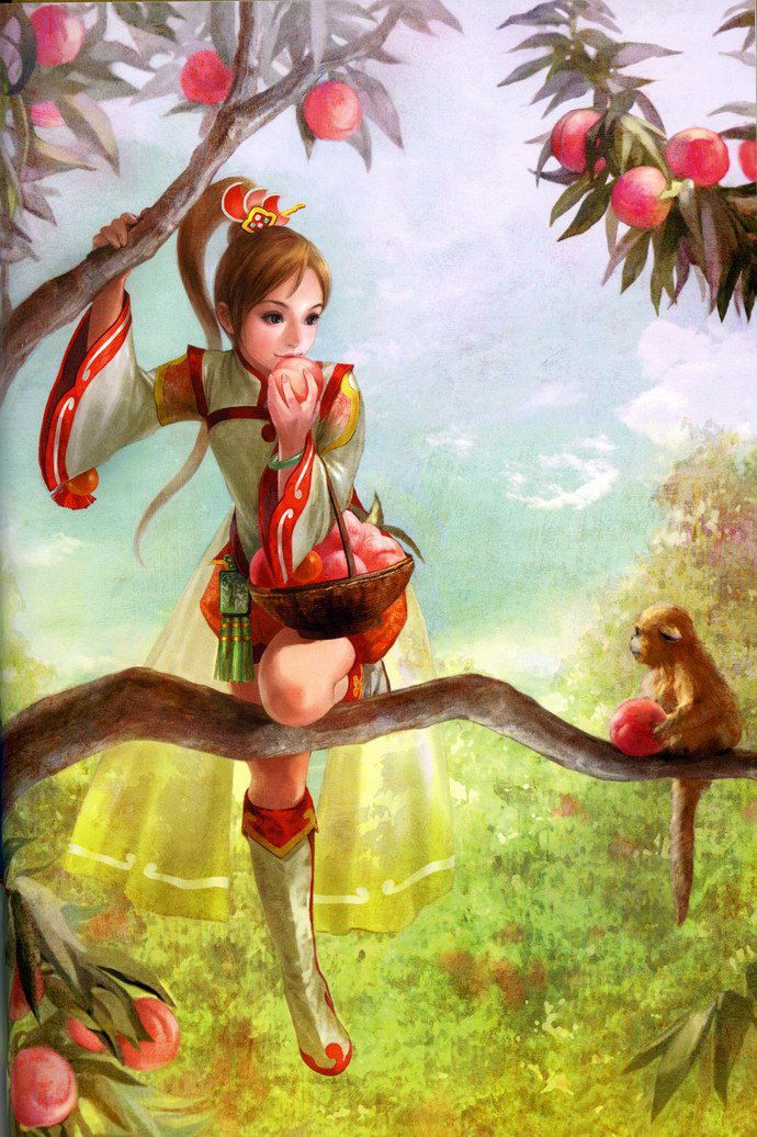 A picture of Xiao Qiao from the Sangoku Musou series 41