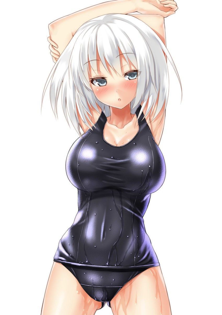 [Two-dimensional] I want to see the swimsuit of cute girl, please erotic images 11