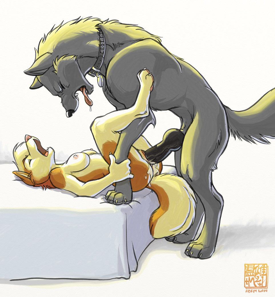 Remains of Tumblrs Yiff [4] 334