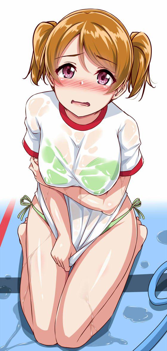 [Second-order] [love live] Koizumi Hanayo's cute secondary erotic image [Love live] 19