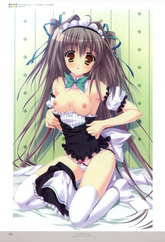 The guy who wants to be together in the erotic image of the maid gather! 12