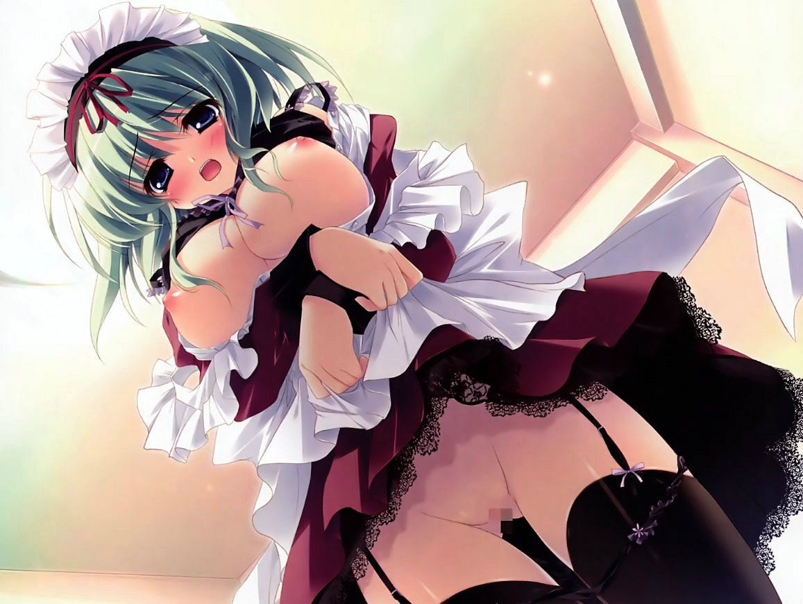 Two-dimensional beautiful girl dressed in maid clothes photo Vol.9 10