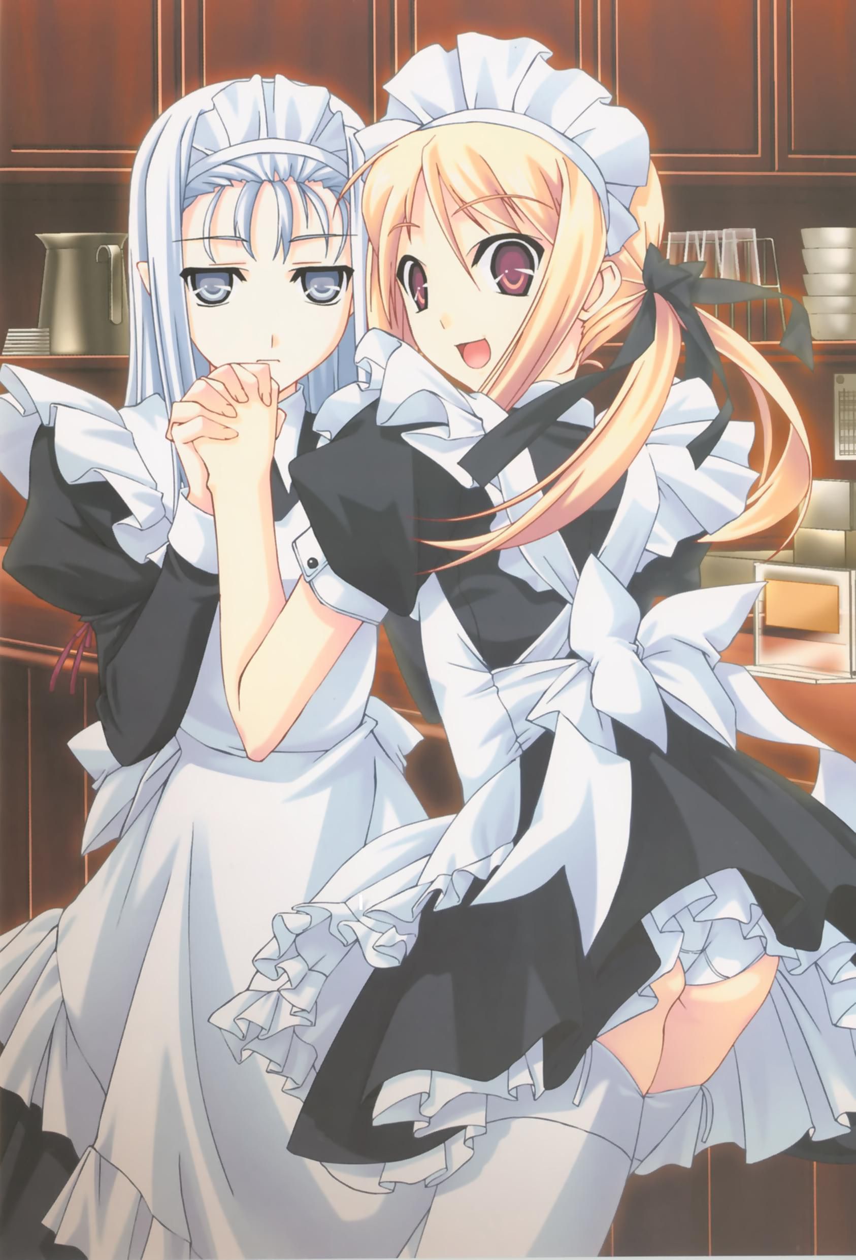Two-dimensional beautiful girl dressed in maid clothes photo Vol.9 17