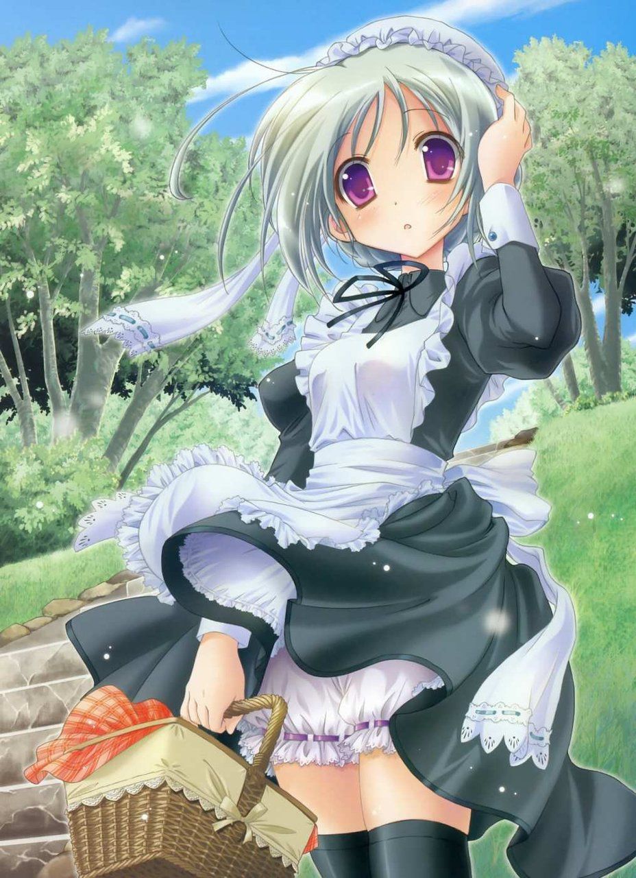 Two-dimensional beautiful girl dressed in maid clothes photo Vol.9 7