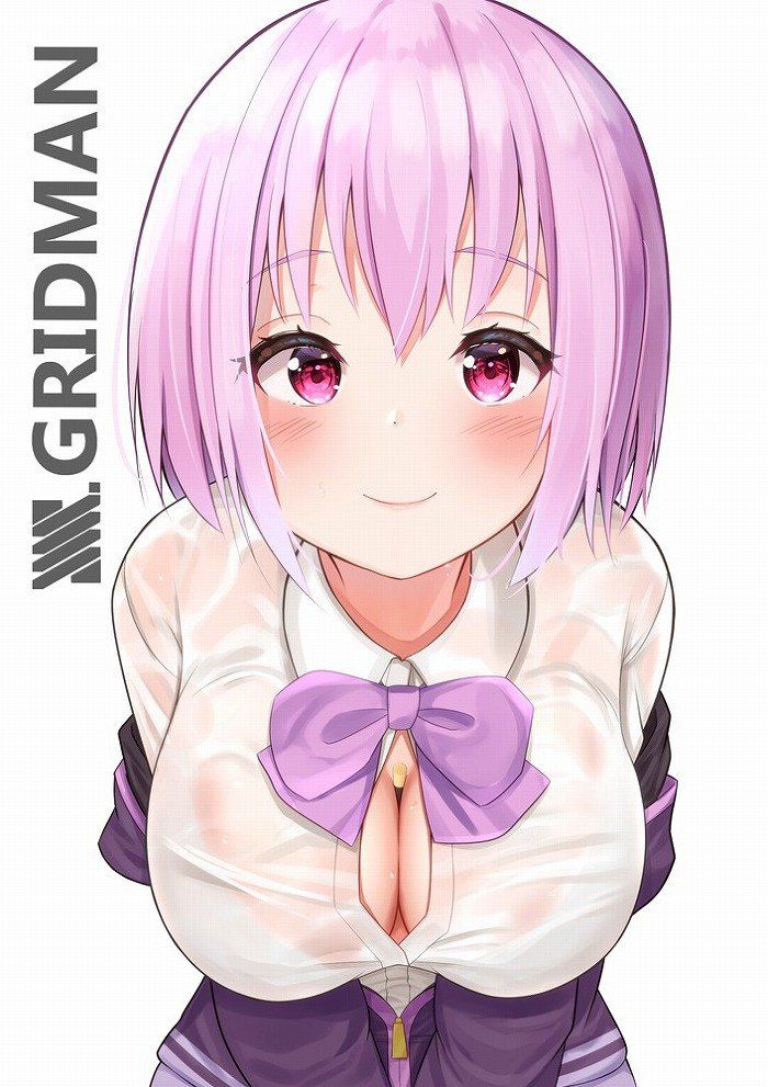The image of Ssss.gridman too erotic is a foul! 29