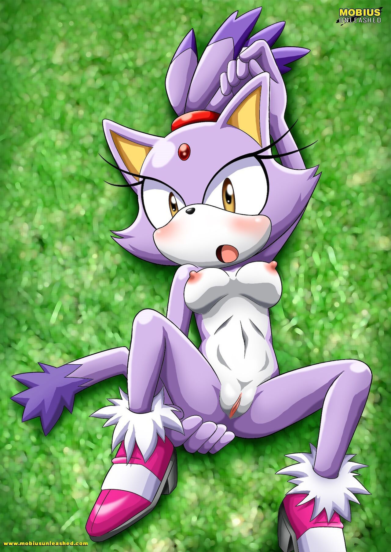 Mobius Unleashed: Blaze the Cat 1