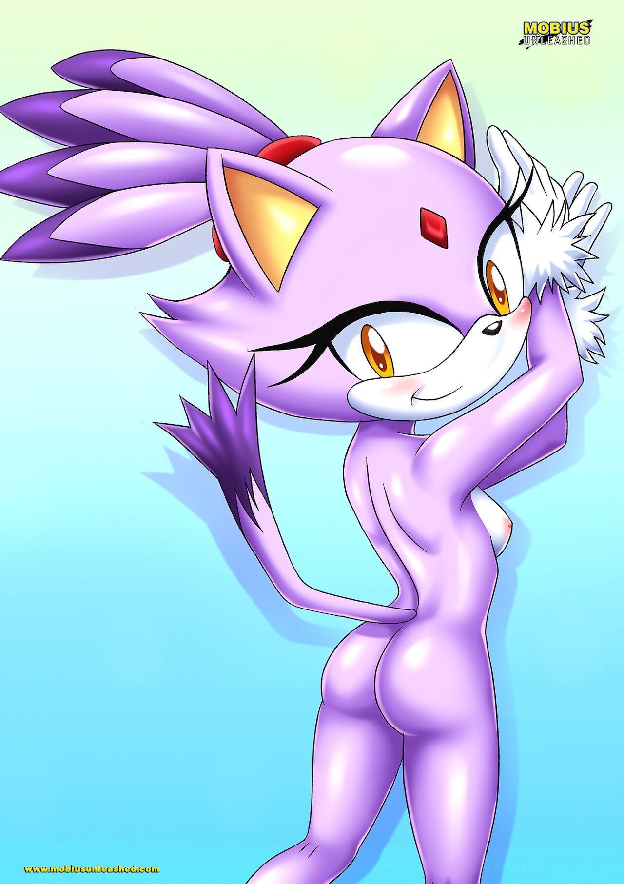 Mobius Unleashed: Blaze the Cat 10