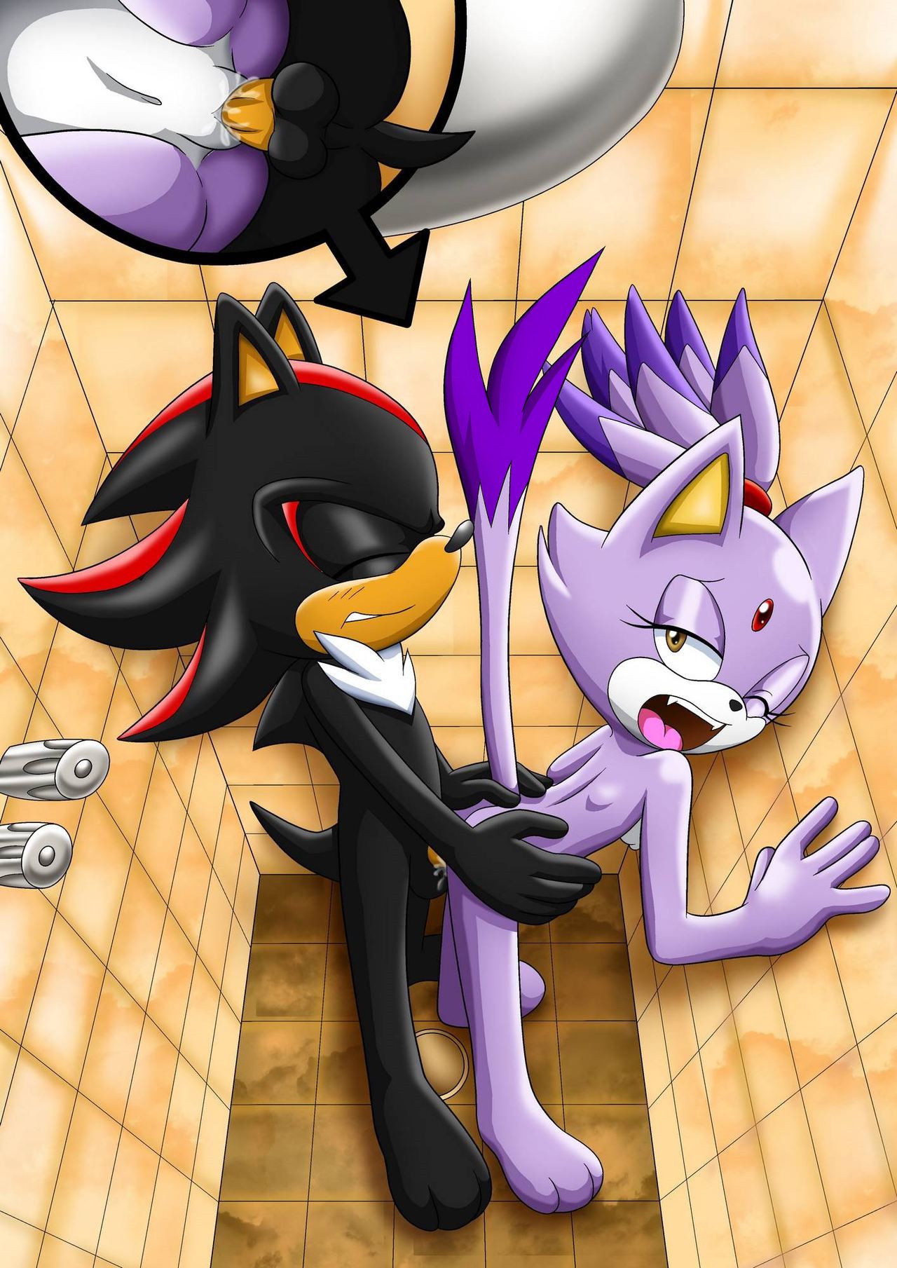 Mobius Unleashed: Blaze the Cat 136
