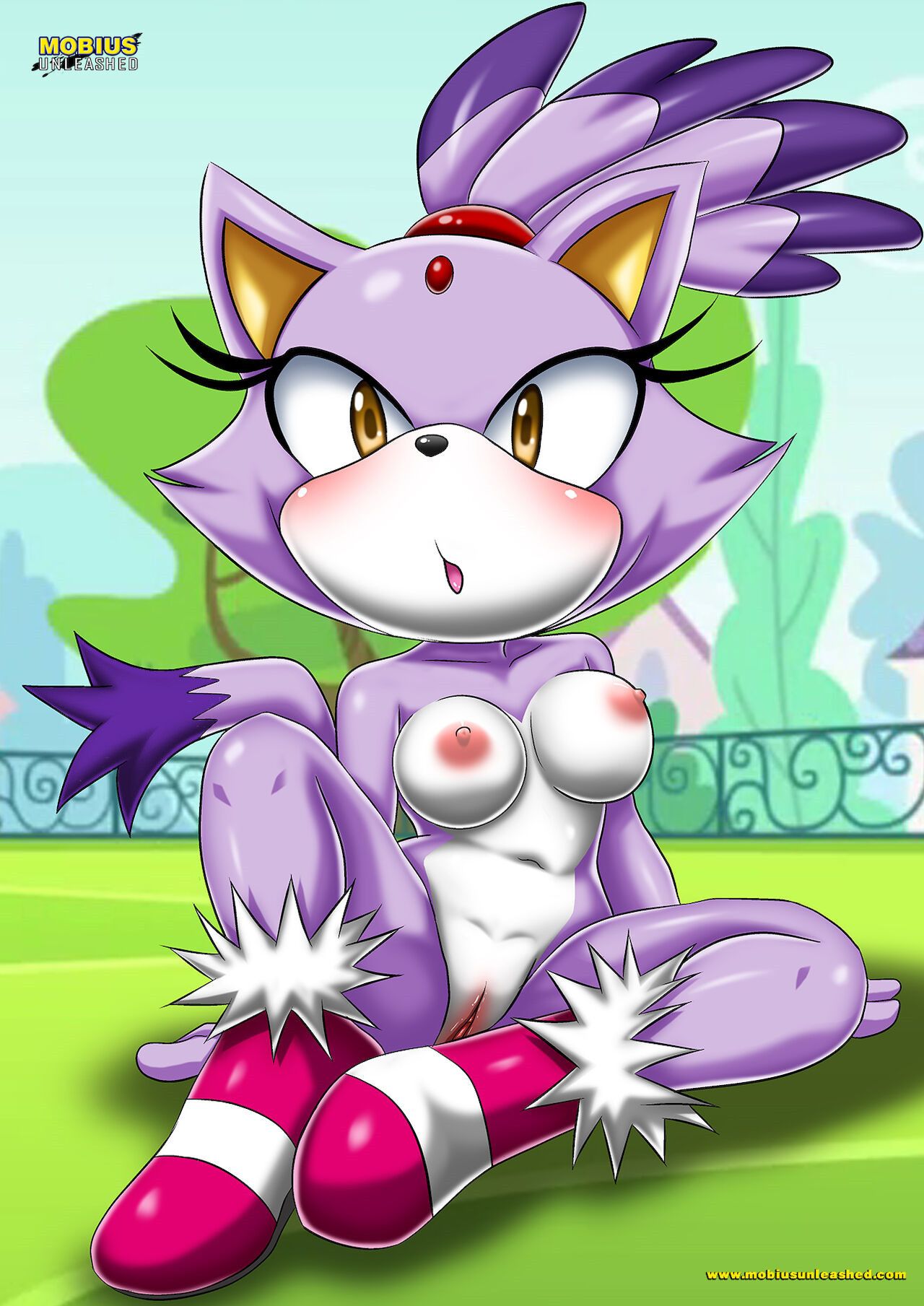 Mobius Unleashed: Blaze the Cat 17