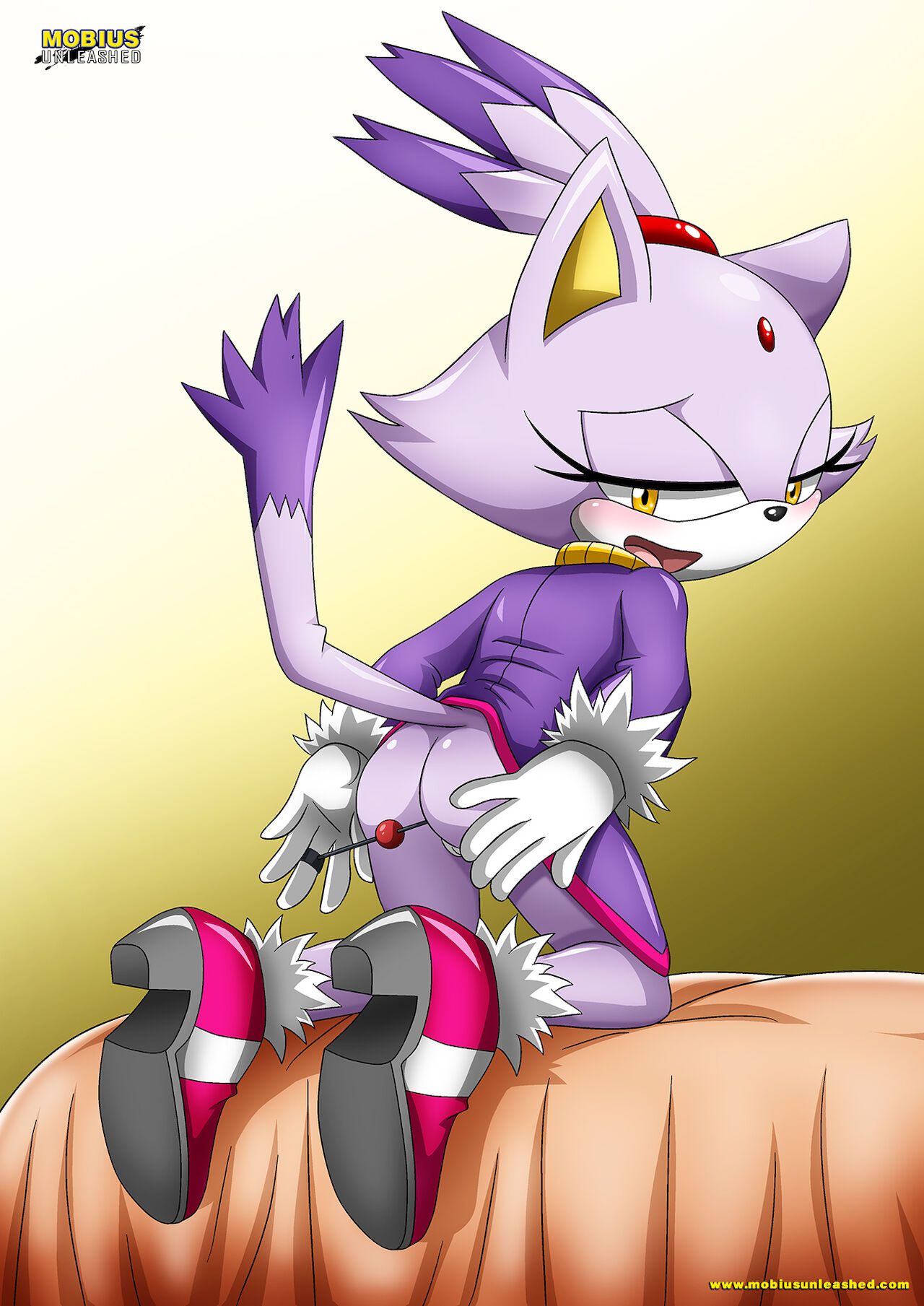 Mobius Unleashed: Blaze the Cat 41