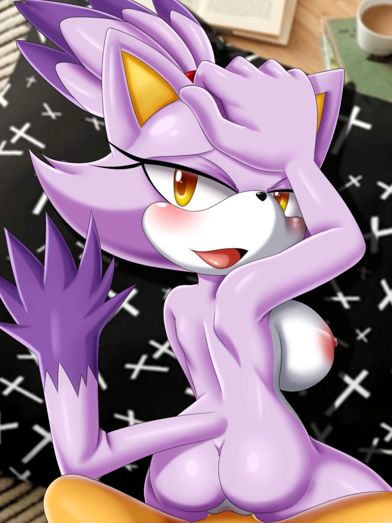 Mobius Unleashed: Blaze the Cat 58