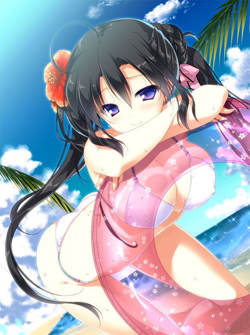 The swimsuit that wants to see the image of a swimsuit is lewd. That cloth area 1