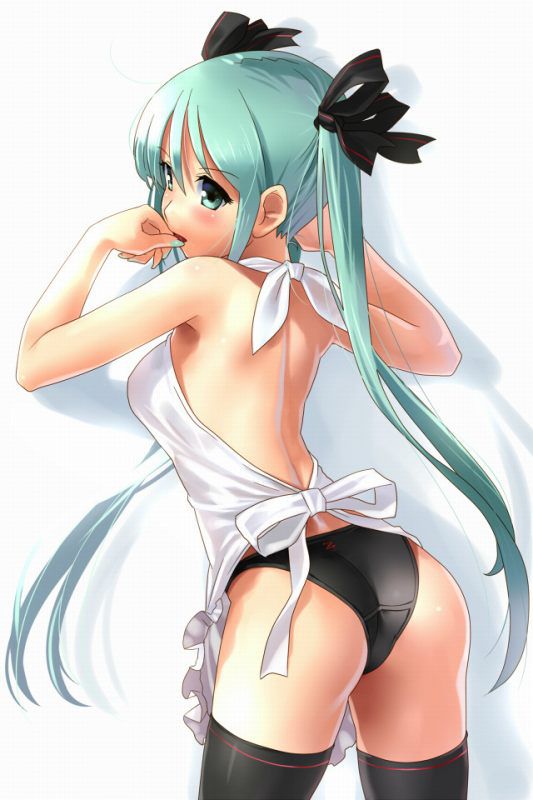 You want to see a naughty picture of vocaloid? 14