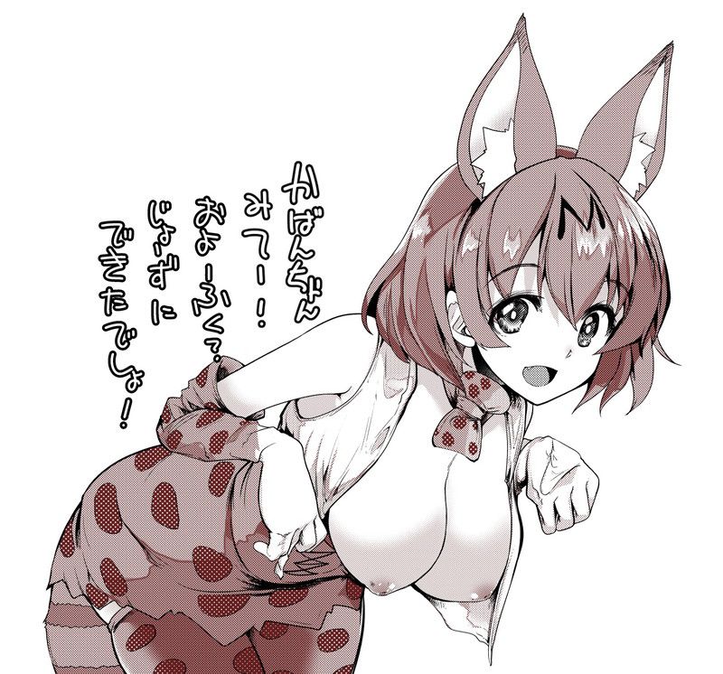 けものフレンズのエッチな画像見たいよね？ 14