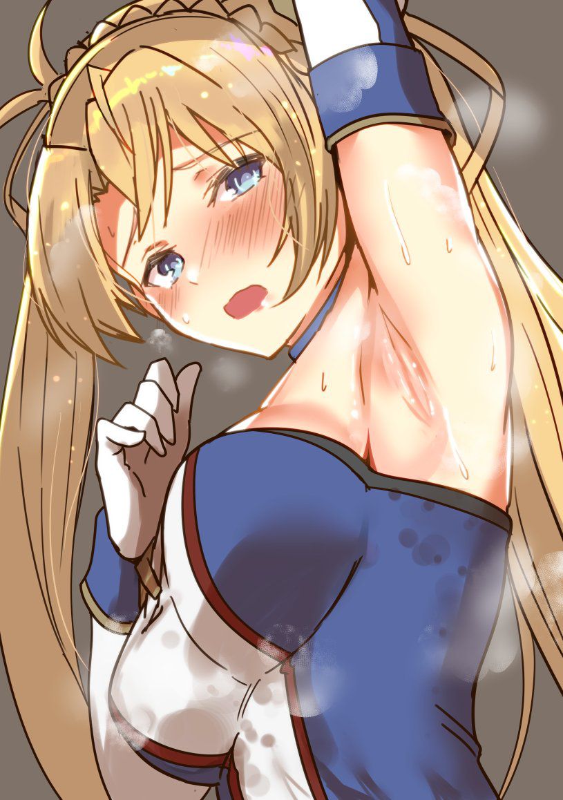 Bradamante (Fate/Grand Order) ブラダマンテ 38