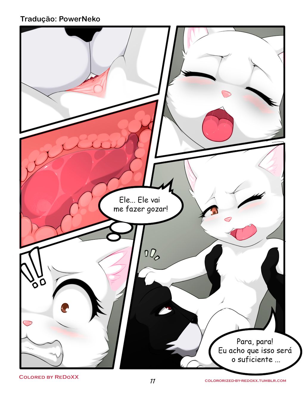 [Darkmirage]Size Counts (O Tamanho Importa) [Colorized by ReDoXX] [Portuguese-BR] [Translated by PowerNeko] 12