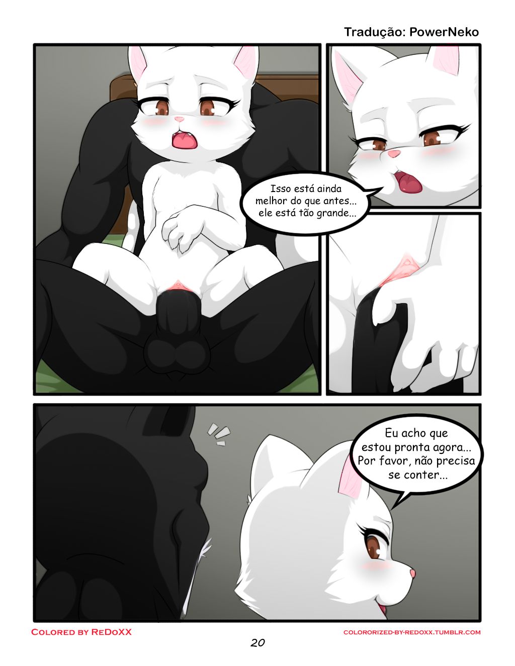 [Darkmirage]Size Counts (O Tamanho Importa) [Colorized by ReDoXX] [Portuguese-BR] [Translated by PowerNeko] 21