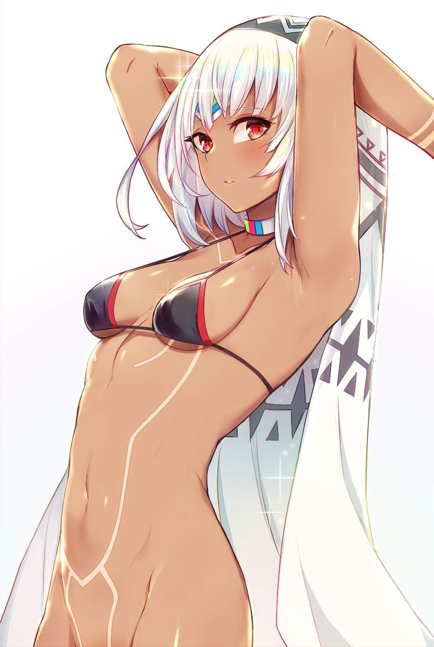 【Fate/Grand Order】Erotic image of Altera ... 1