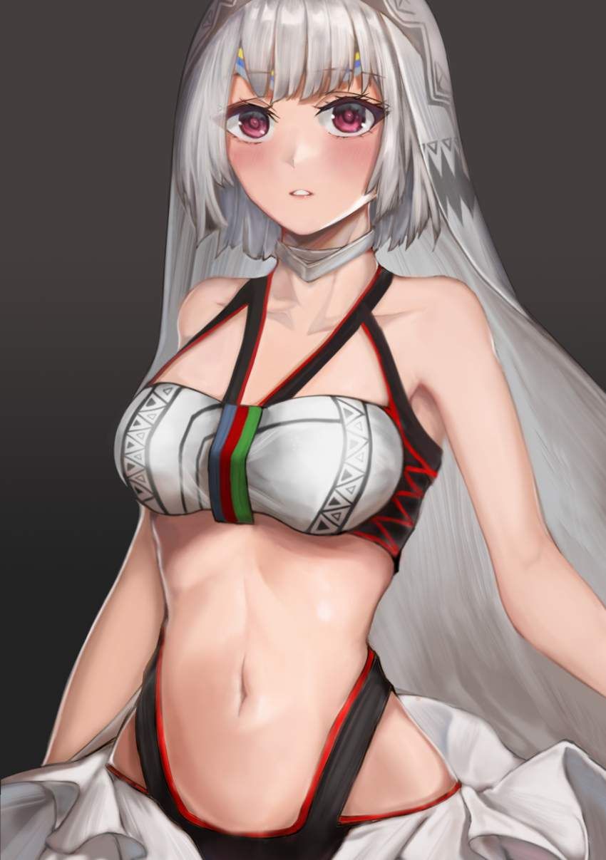 【Fate/Grand Order】Erotic image of Altera ... 27