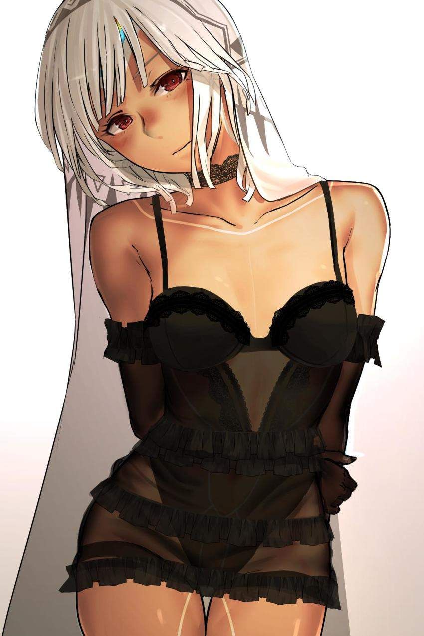 【Fate/Grand Order】Erotic image of Altera ... 3