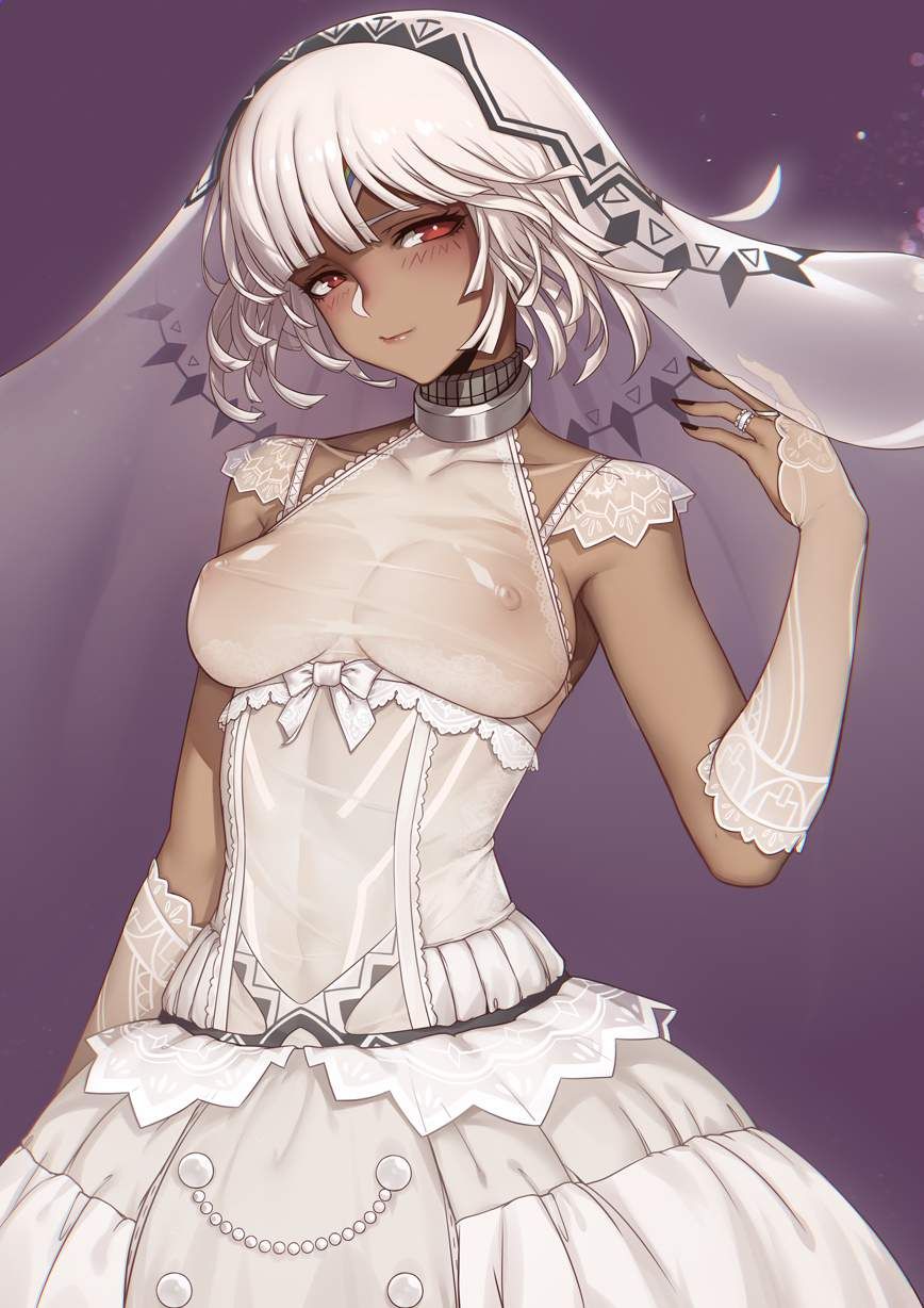 【Fate/Grand Order】Erotic image of Altera ... 9
