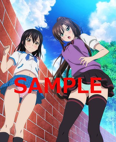 Anime [Strike the blood] erotic illustrations, such as erotic nude in the store benefits of the third period OVA 3