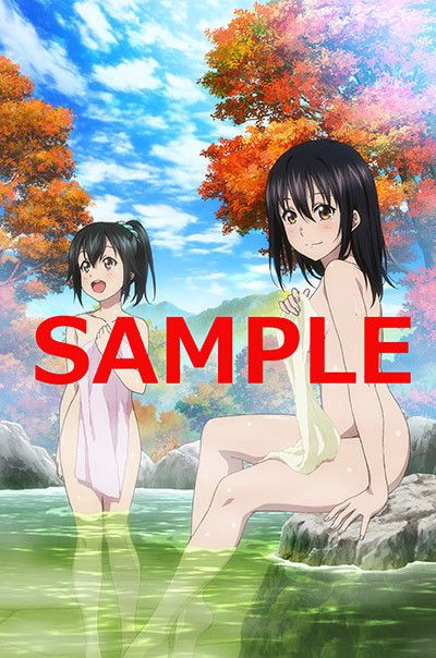 Anime [Strike the blood] erotic illustrations, such as erotic nude in the store benefits of the third period OVA 4