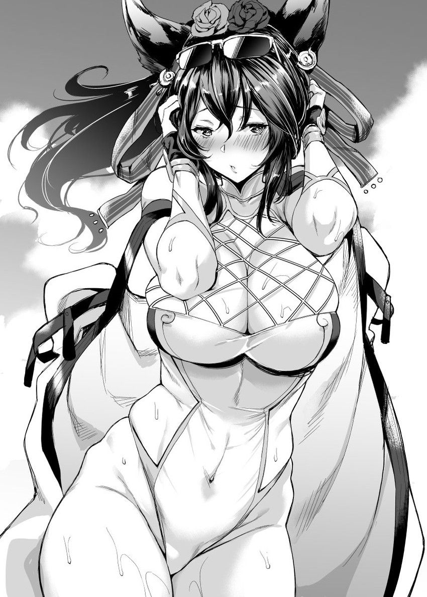 [Ilsa] Photo gallery [Grand Blue Fantasy] 27