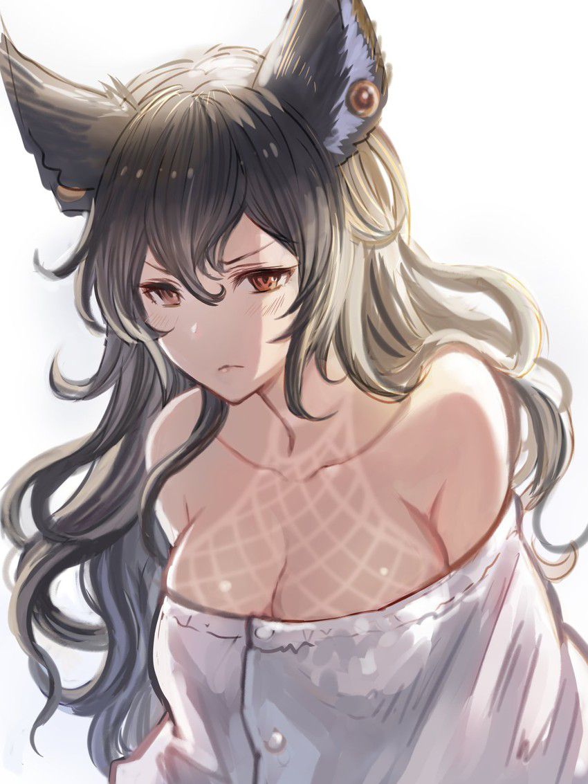 [Ilsa] Photo gallery [Grand Blue Fantasy] 43